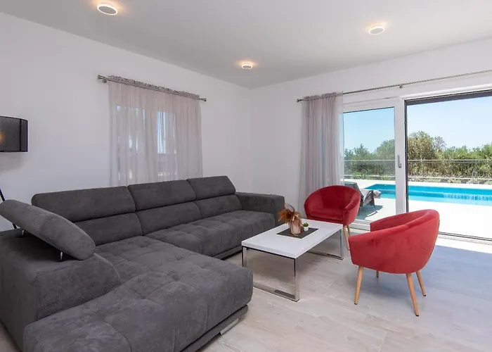 Olive Tree 奥瑞比克