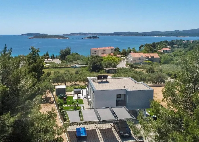 Olive Tree 奥瑞比克