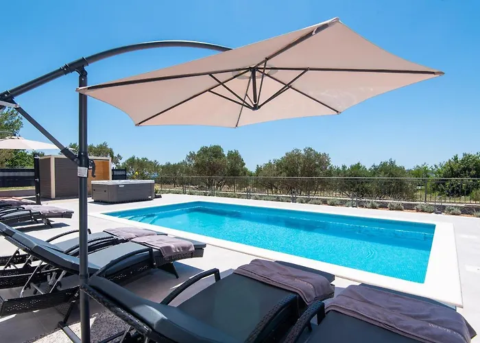 Olive Tree * Orebić